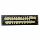 Juego Dientes Protésicos DT