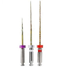 Lima Trunatomy Secuencia C/3