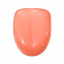 Lengua Didáctica DT