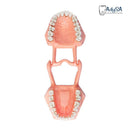 Tipodonto Adulto con Preparaciones