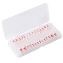 Dientes Endodoncia Pulpa 28pz Nis DT