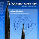 Endomotor C Smart AP+ Coxo
