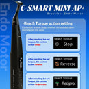 Endomotor C Smart AP+ Coxo