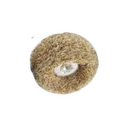 Disco Pulir Scotch DT