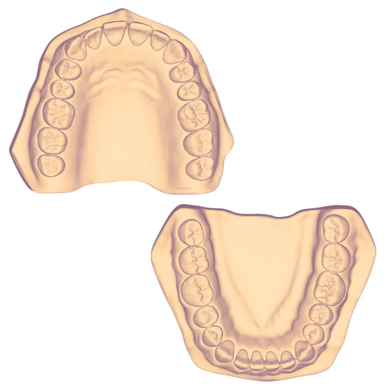 Modelo Hueco Adulto 3D DT