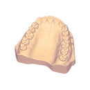 Modelo Hueco Adulto 3D DT