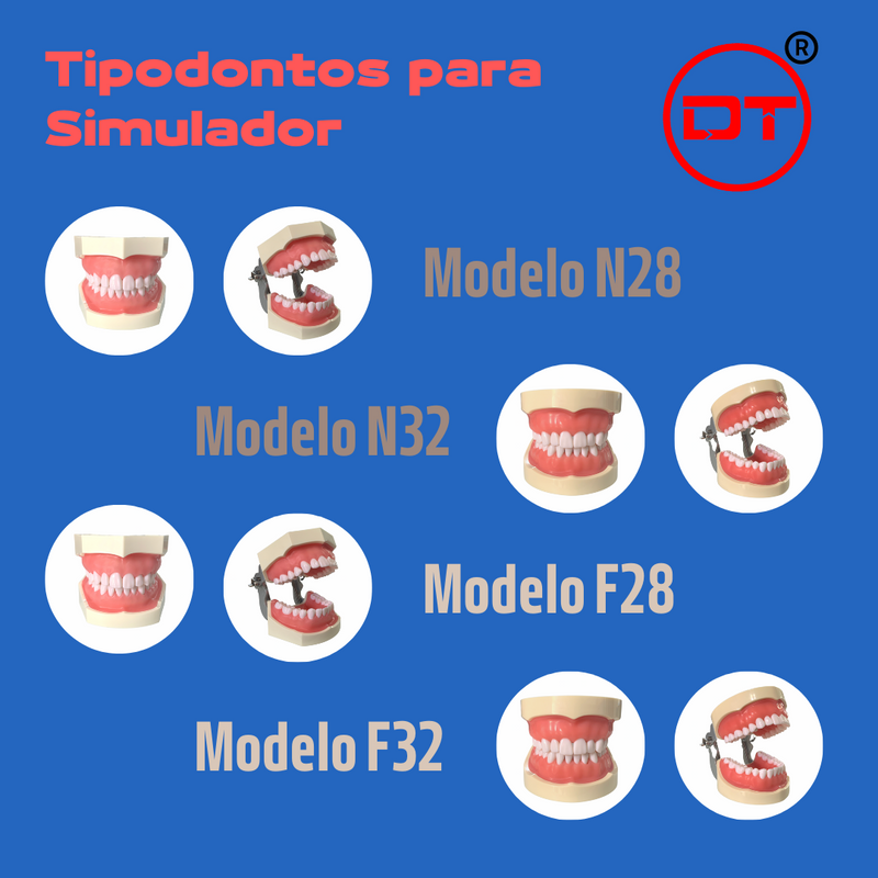 Simulador Dental Profesional DT