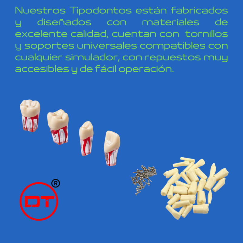 Simulador Dental Profesional DT