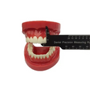 Regla Dental de Precisión DT