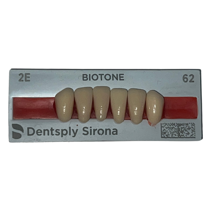 Tablilla Dientes Biotone Anteriores Inferiores 6pz Dentsply