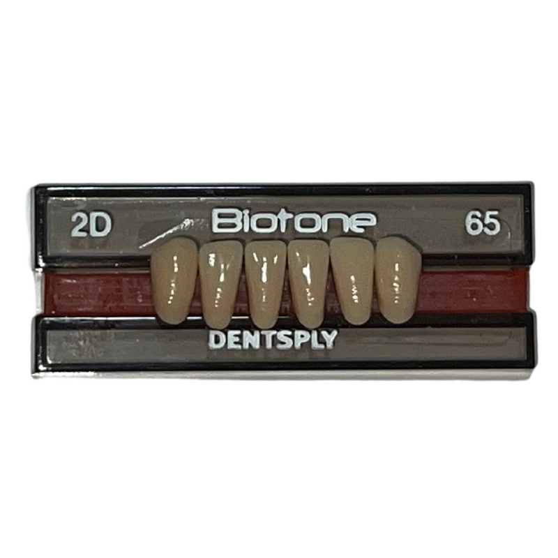 Tablilla Dientes Biotone Anteriores Inferiores 6pz Dentsply