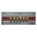 Tablilla Dientes Biotone Anteriores Inferiores 6pz Dentsply