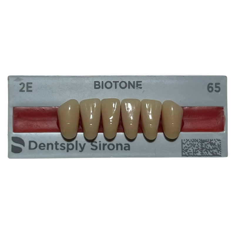 Tablilla Dientes Biotone Anteriores Inferiores 6pz Dentsply 5591