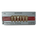 Tablilla Dientes Biotone Anteriores Inferiores 6pz Dentsply