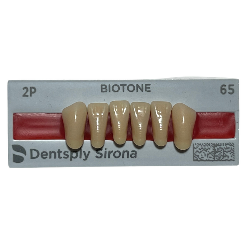 Tablilla Dientes Biotone Anteriores Inferiores 6pz Dentsply