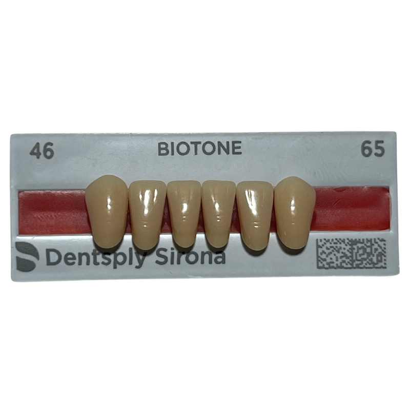 Tablilla Dientes Biotone Anteriores Inferiores 6pz Dentsply