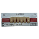 Tablilla Dientes Biotone Anteriores Inferiores 6pz Dentsply