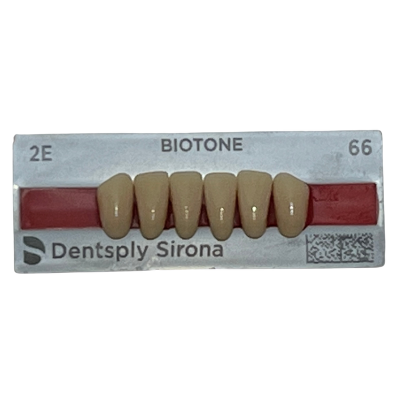 Tablilla Dientes Biotone Anteriores Inferiores 6pz Dentsply