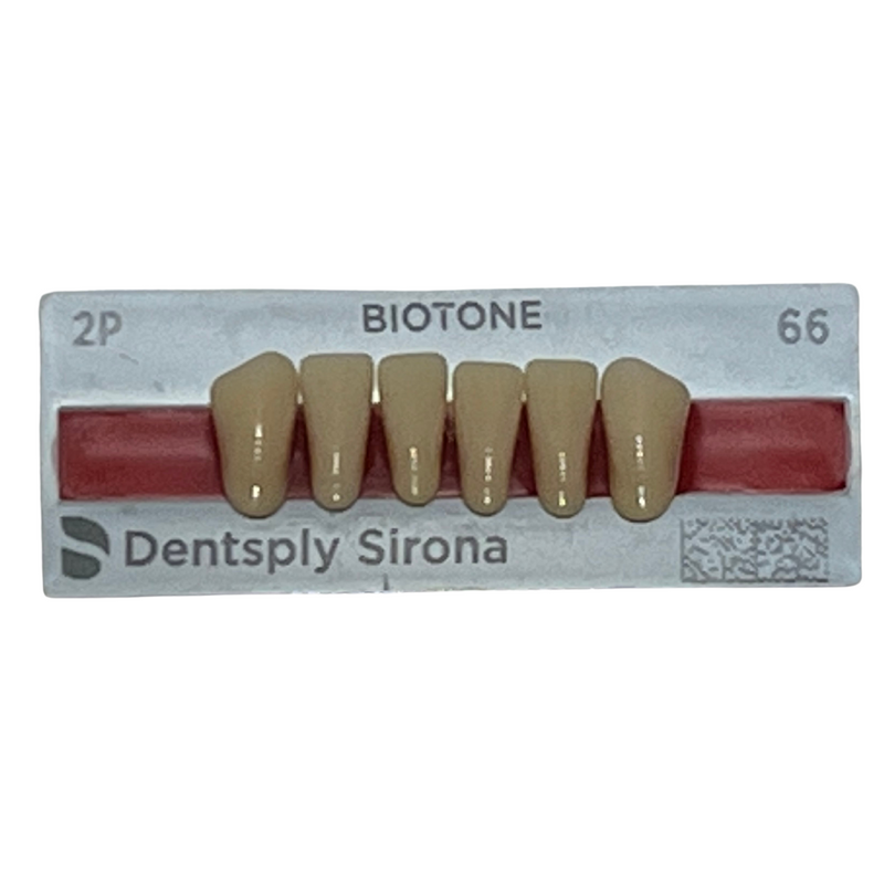 Tablilla Dientes Biotone Anteriores Inferiores 6pz Dentsply