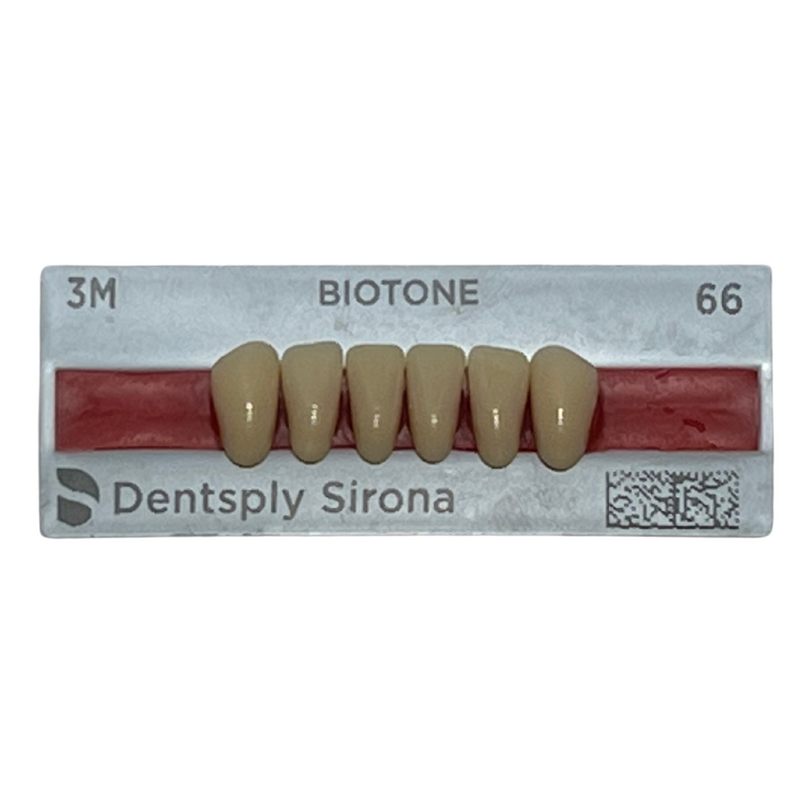 Tablilla Dientes Biotone Anteriores Inferiores 6pz Dentsply