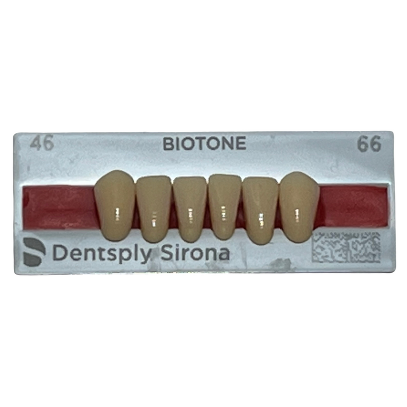 Tablilla Dientes Biotone Anteriores Inferiores 6pz Dentsply