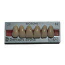 Tablilla Dientes Biotone Anteriores Superiores 6pz Dentsply