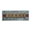 Tablilla Dientes Biotone Anteriores Superiores 6pz Dentsply