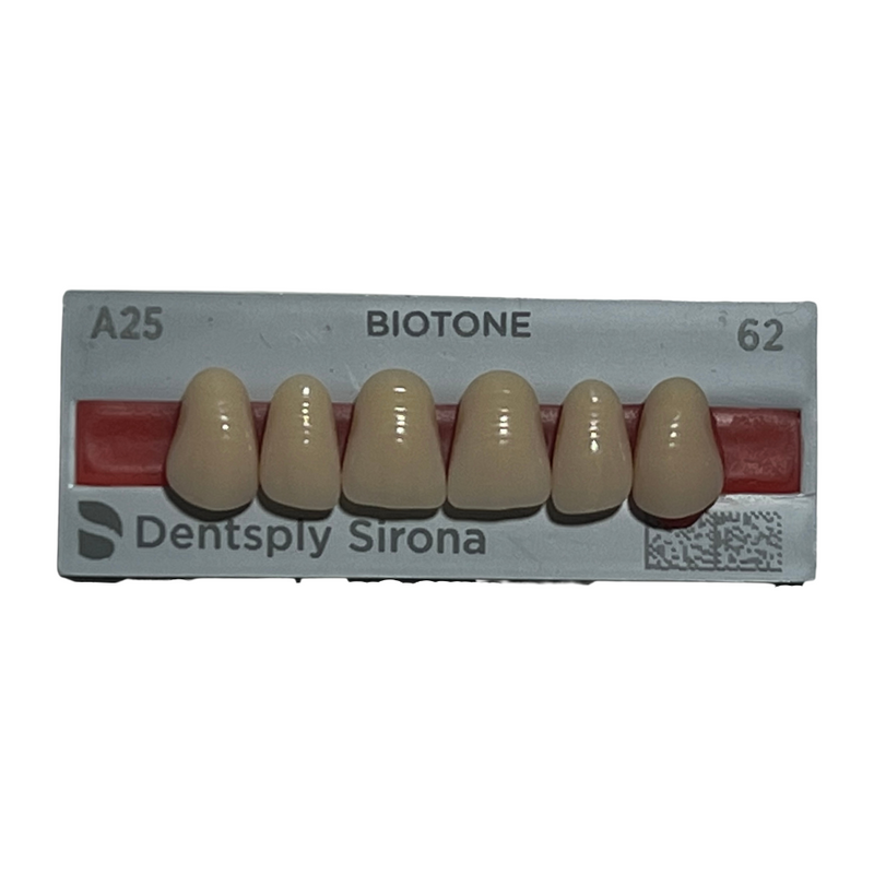 Tablilla Dientes Biotone Anteriores Superiores 6pz Dentsply