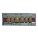 Tablilla Dientes Biotone Anteriores Superiores 6pz Dentsply