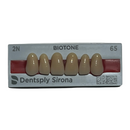Tablilla Dientes Biotone Anteriores Superiores 6pz Dentsply