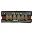 Tablilla Dientes Biotone Anteriores Superiores 6pz Dentsply