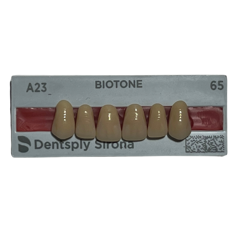 Tablilla Dientes Biotone Anteriores Superiores 6pz Dentsply