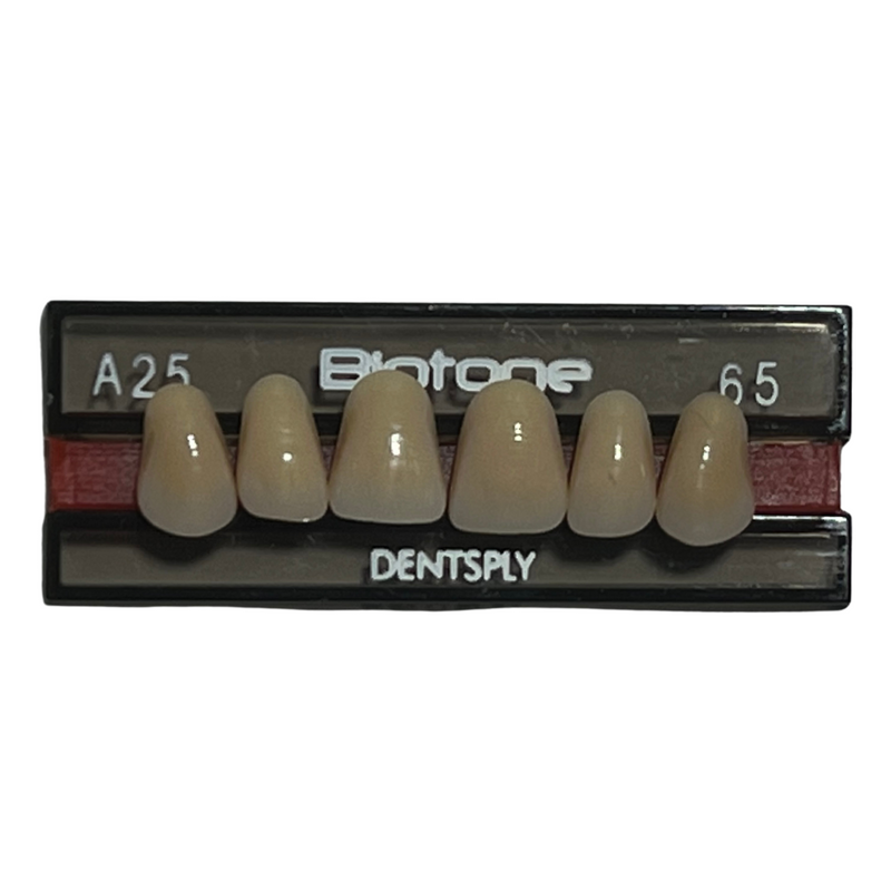 Tablilla Dientes Biotone Anteriores Superiores 6pz Dentsply