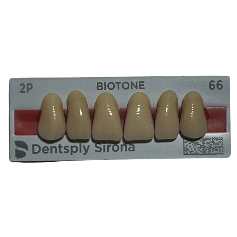 Tablilla Dientes Biotone Anteriores Superiores 6pz Dentsply