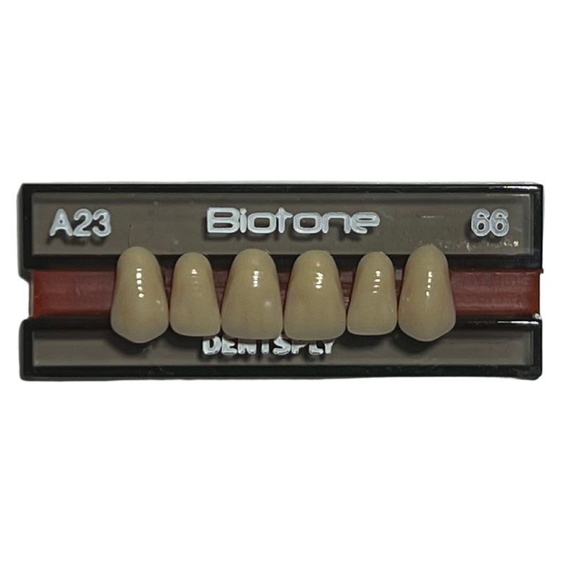 Tablilla Dientes Biotone Anteriores Superiores 6pz Dentsply