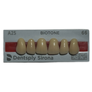 Tablilla Dientes Biotone Anteriores Superiores 6pz Dentsply