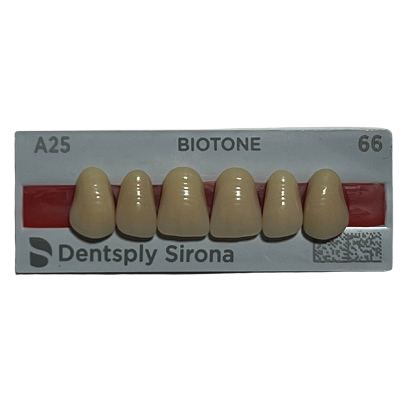 Tablilla Dientes Biotone Anteriores Superiores 6pz Dentsply