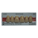 Tablilla Dientes Biotone Anteriores Superiores 6pz Dentsply