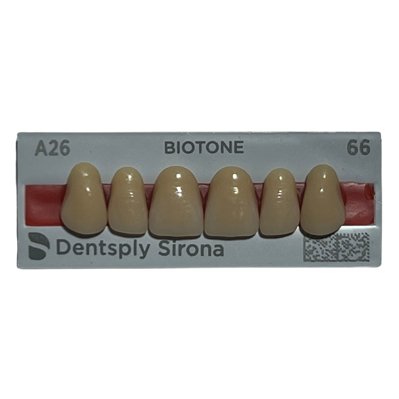 Tablilla Dientes Biotone Anteriores Superiores 6pz Dentsply