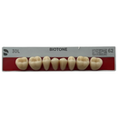 Tablilla Dientes Posterior Inferior Biotone 8pz Dentsply