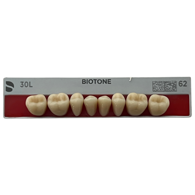 Tablilla Dientes Posteriores Biotone 8pz Dentsply