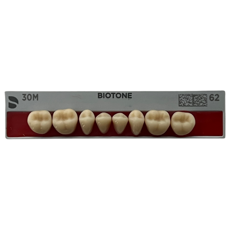 Tablilla Dientes Posteriores Biotone 8pz Dentsply