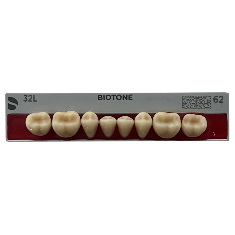 Tablilla Dientes Posteriores Biotone 8pz Dentsply