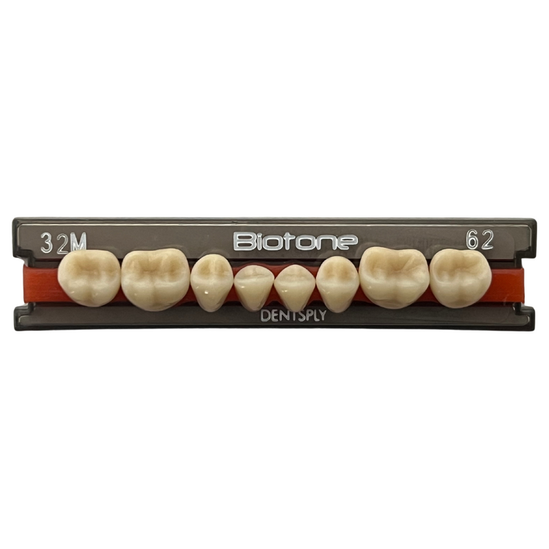 Tablilla Dientes Posteriores Biotone 8pz Dentsply