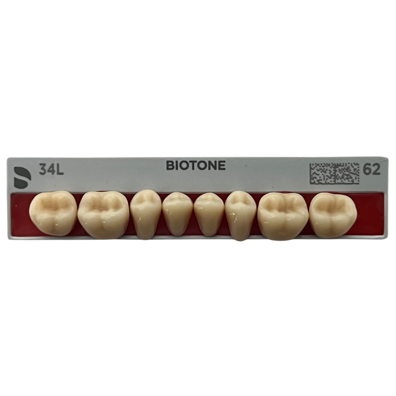 Tablilla Dientes Posteriores Biotone 8pz Dentsply