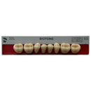 Tablilla Dientes Posterior Inferior Biotone 8pz Dentsply