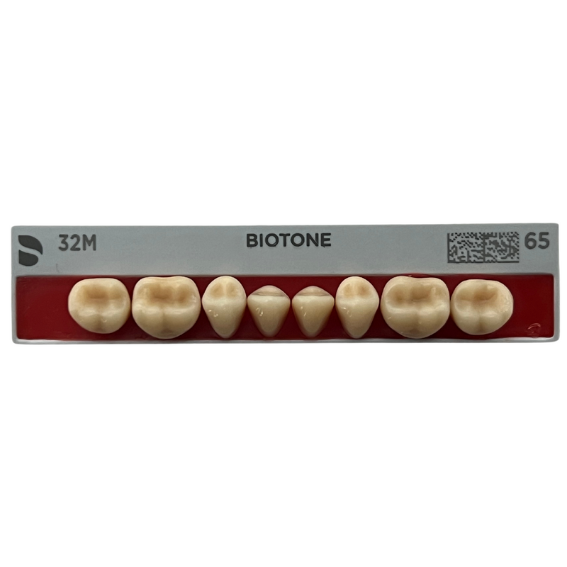 Tablilla Dientes Posteriores Biotone 8pz Dentsply