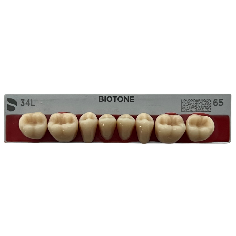 Tablilla Dientes Posteriores Biotone 8pz Dentsply