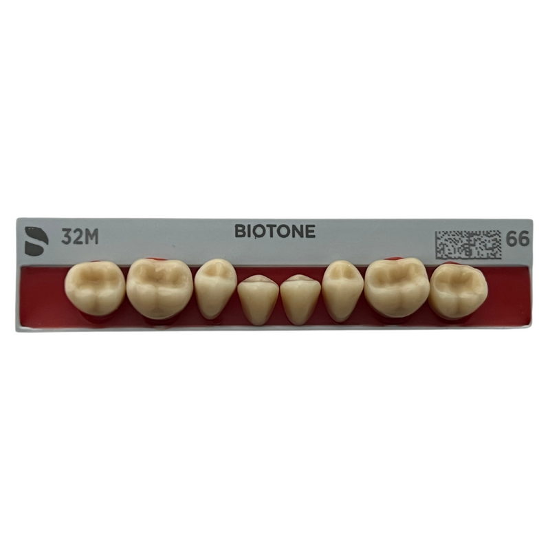 Tablilla Dientes Posteriores Biotone 8pz Dentsply