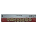 Tablilla Dientes Posterior Inferior Biotone 8pz Dentsply